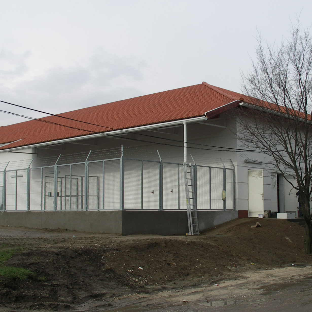 Dorog